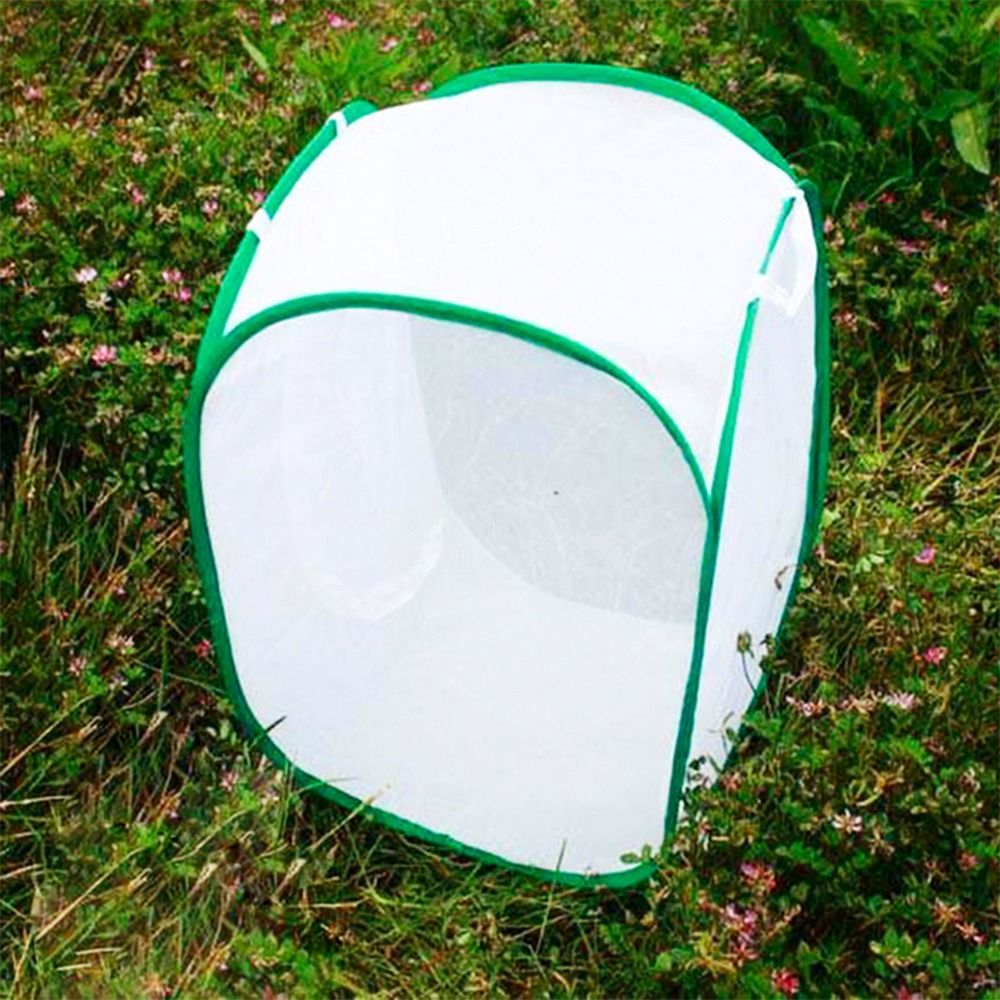 Green Collapsible Insect Cage  - огляд і ціна Green Screen Collapsible