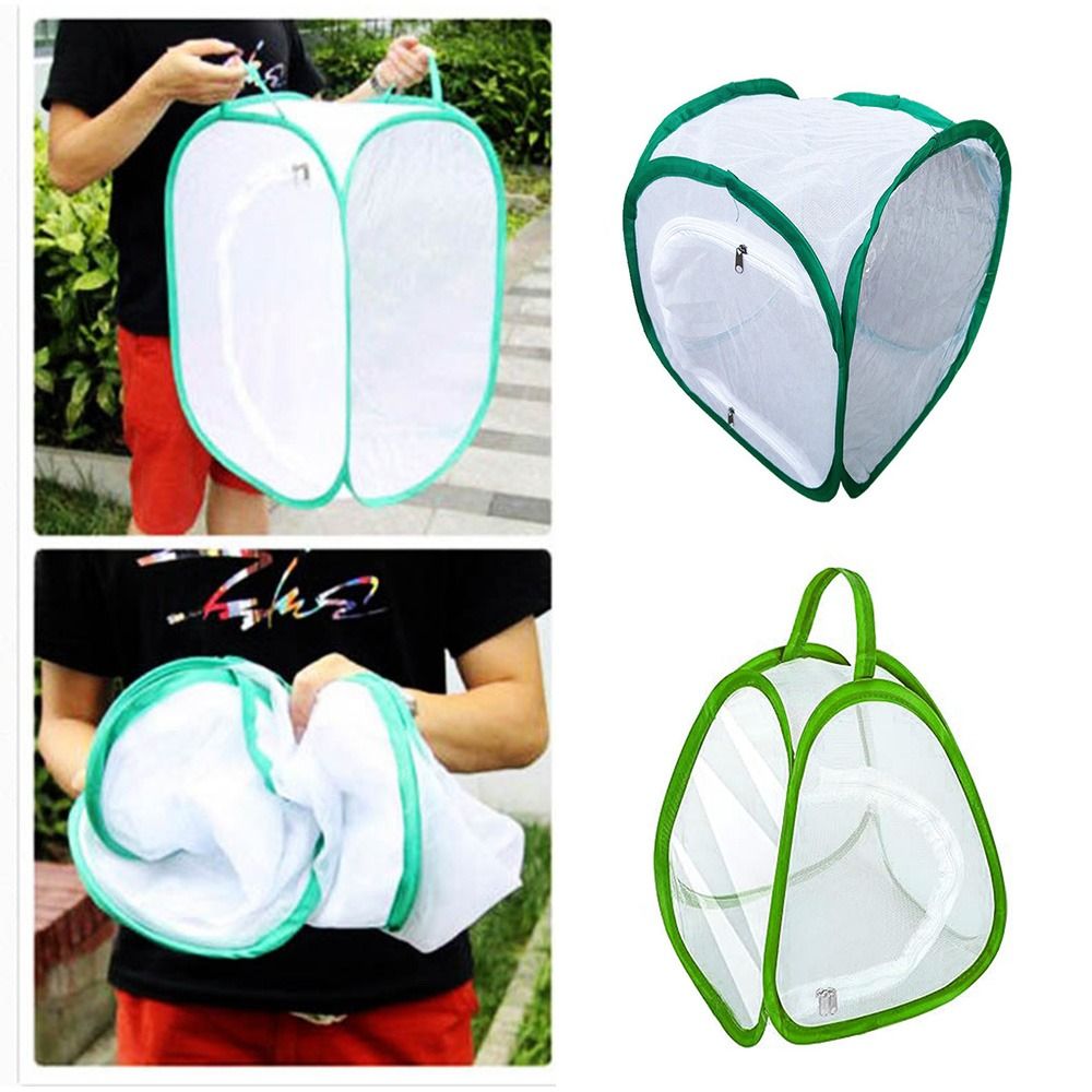Green Collapsible Insect Cage  - огляд і ціна Green Screen Collapsible
