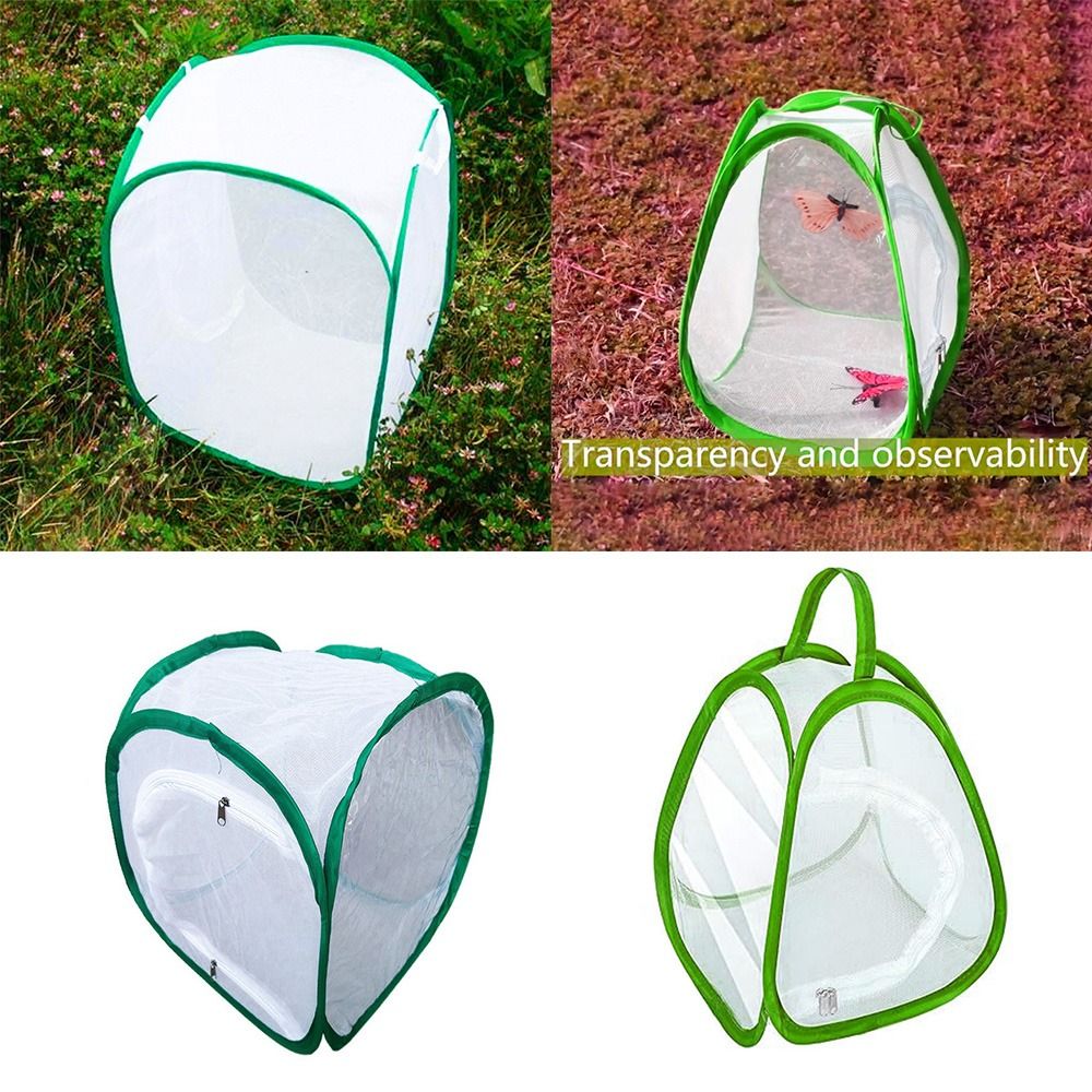 Green Collapsible Insect Cage  - огляд і ціна Green Screen Collapsible