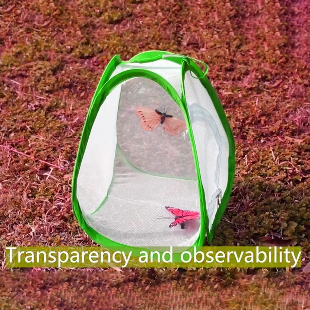 Green Collapsible Insect Cage  - огляд і ціна Green Screen Collapsible