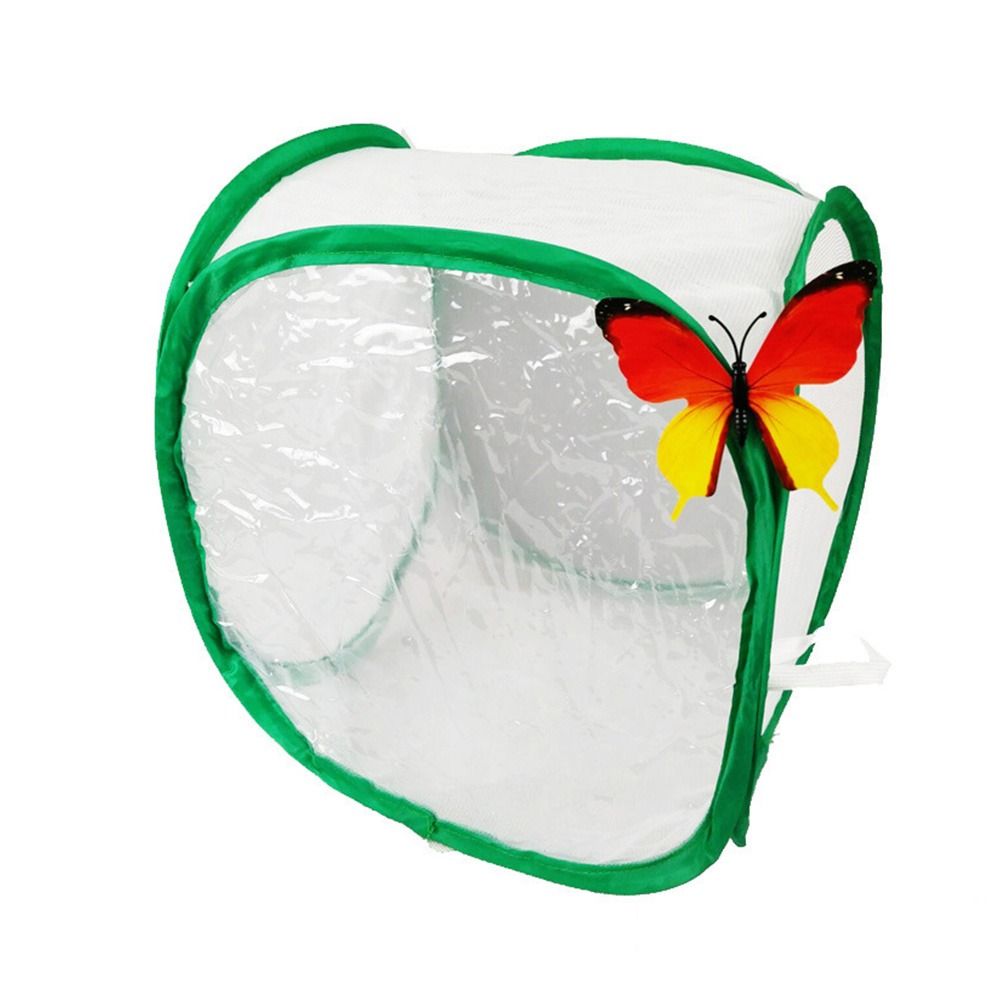 Green Collapsible Insect Cage  - огляд і ціна Green Screen Collapsible